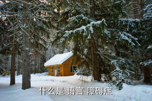 什么是 语言 障碍症