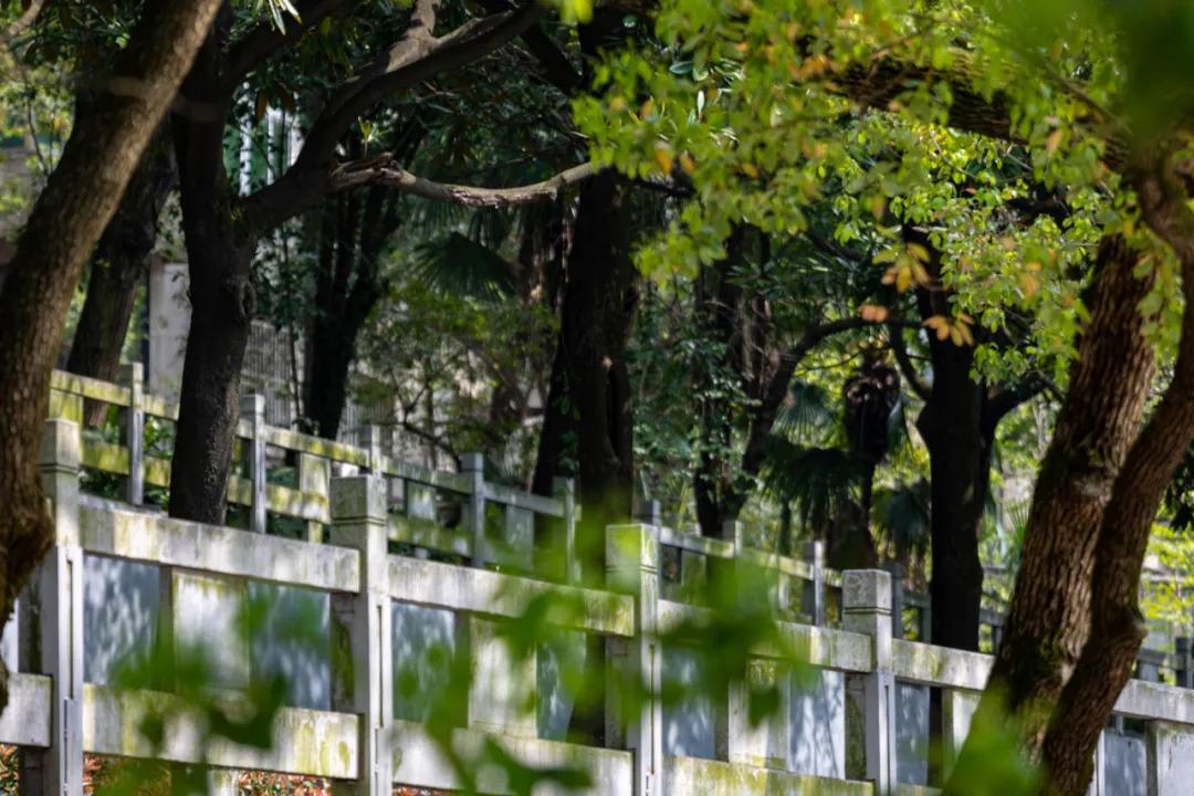渌江书院历史沿革_醴陵一中新校门民国风情_醴陵渌江中学