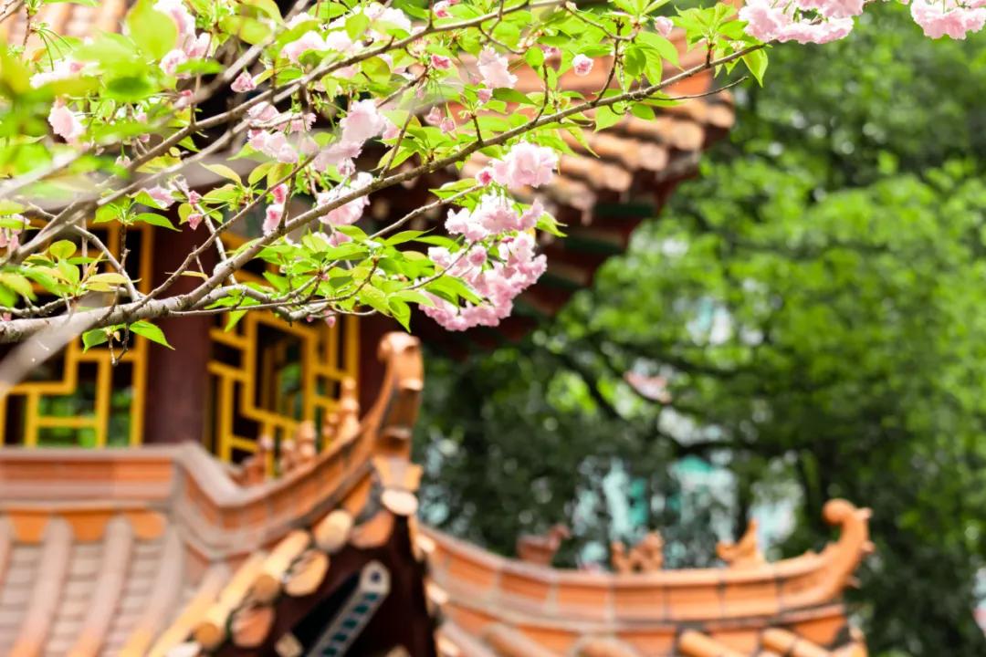 醴陵一中新校门民国风情_渌江书院历史沿革_醴陵渌江中学