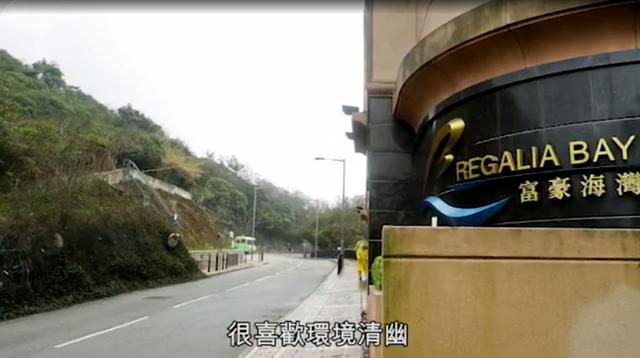 香港社交名媛薛紫伦_香港名媛薛芷伦_薛芷伦整容前后对比