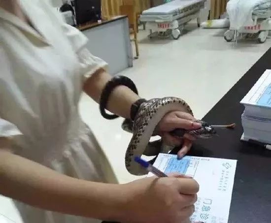 辽宁新闻联播主持人朱彤_辽宁新闻主持人朱彤_新闻辽宁主持人朱彤个人资料