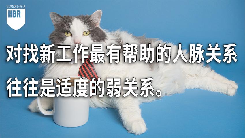 弱关系求职效果_职业社交平台_适度弱关系人脉