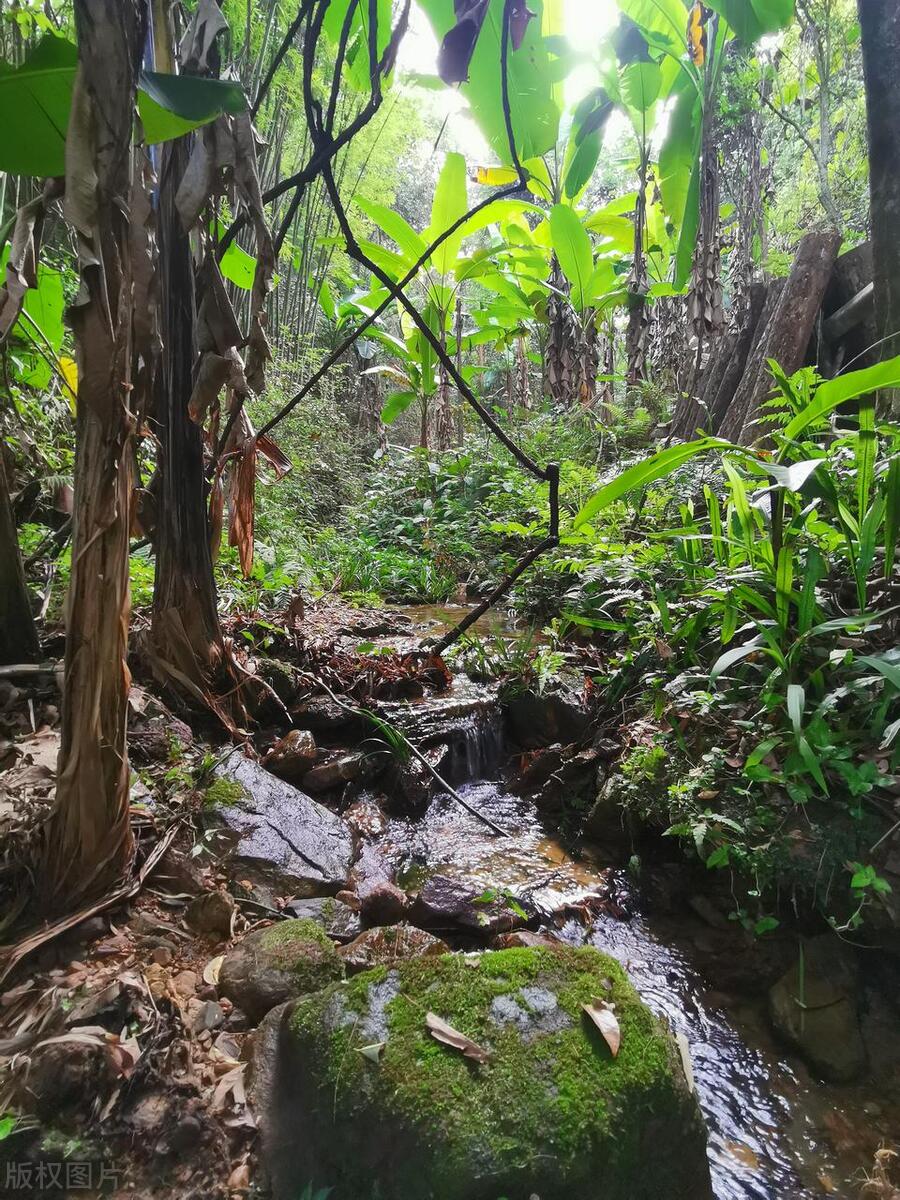 万尾金滩旅游攻略_东兴旅游攻略_东兴近期重大新闻