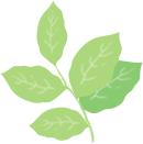 专家赋能促成长_幼儿园游戏专题总结_机关幼儿园教研活动