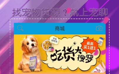 宠聊(宠物交友交易平台)