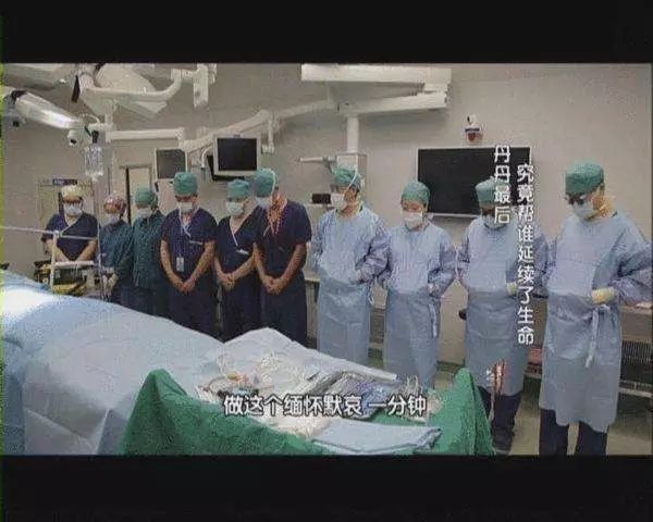 广播电视的特点_电视广播特点包括_广播电视特点的个性特征