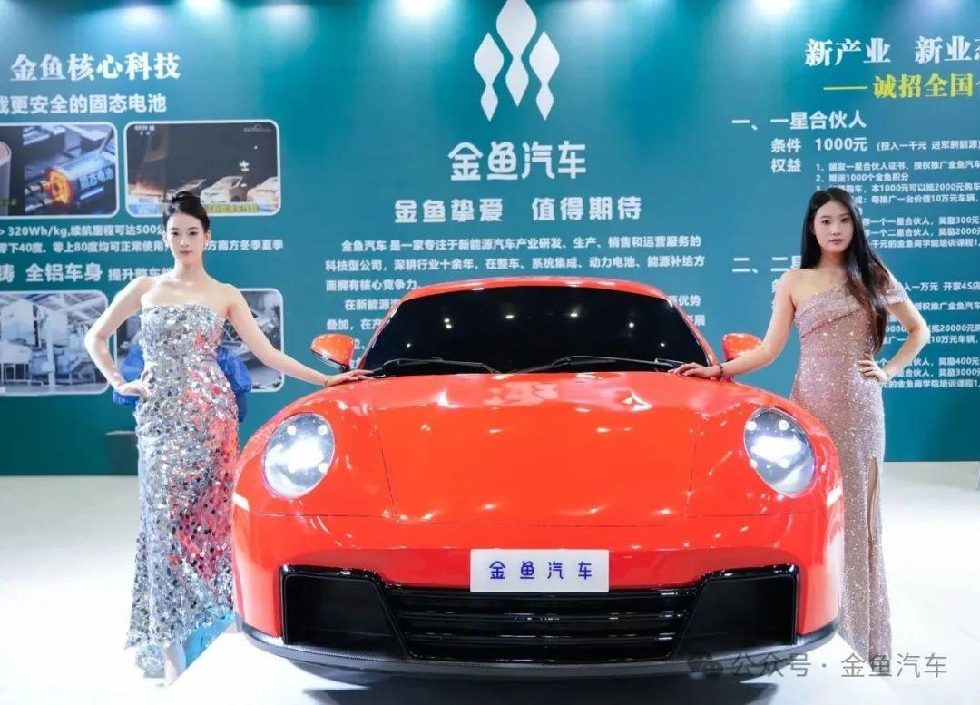 金鱼汽车什么来头？