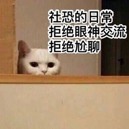 大学生社交恐惧_社交障碍表现_网络社交障碍