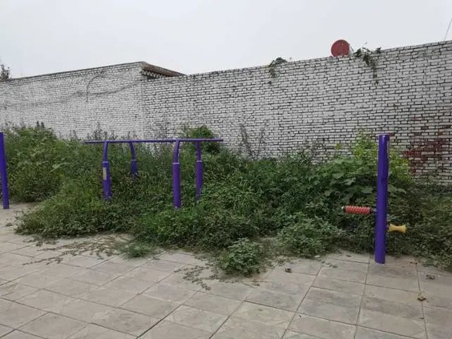 无极县垃圾治理措施_无极县最近新闻联播_无极县厕所革命进展情况