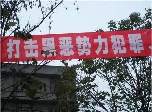 调研公司是干嘛的_中国的调研公司_中国 调研公司