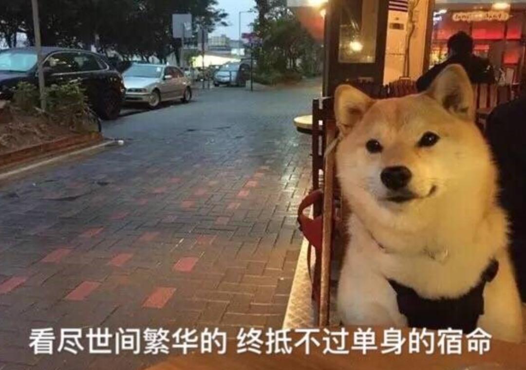 社交软件脱单难_社交软件匹配成功率低_什么是社交软件
