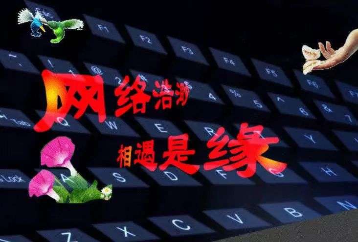 社交软件匹配成功率低_社交软件脱单难_什么是社交软件