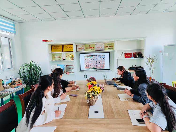 优化室内自主游戏_聚焦材料投放_幼儿园游戏专题总结