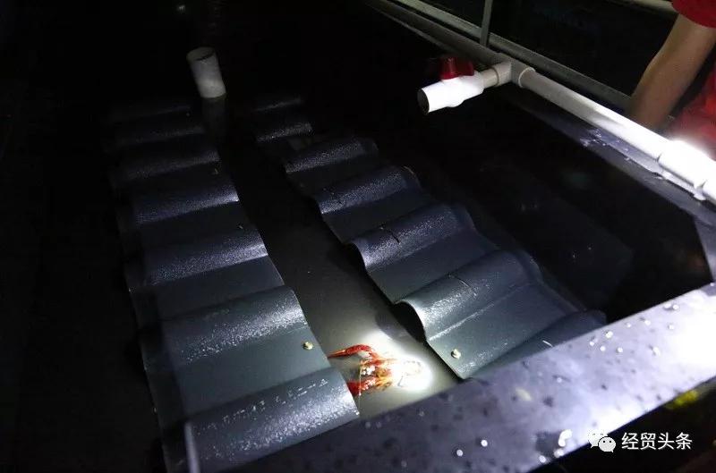 湖南湘拓人力资源有限公司_长沙湘拓文化传播有限公司_湘都生态农业园拓展