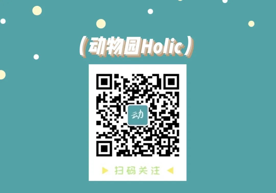 社交网络电影好看吗_社交网络类似电影_社交网络电影讲的是什么