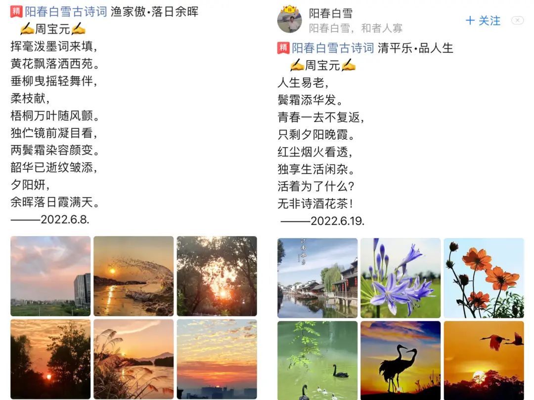 美篇 中老年社交App 图文社区_社交任务app
