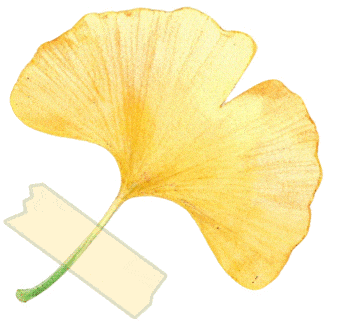 网络安全防护_秋凉网络安全_平安科技 社交互联网