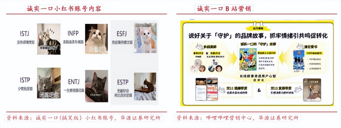 国货宠物品牌社交媒体营销策略_宠物社交平台_宠物品牌在社交媒体的增长路径