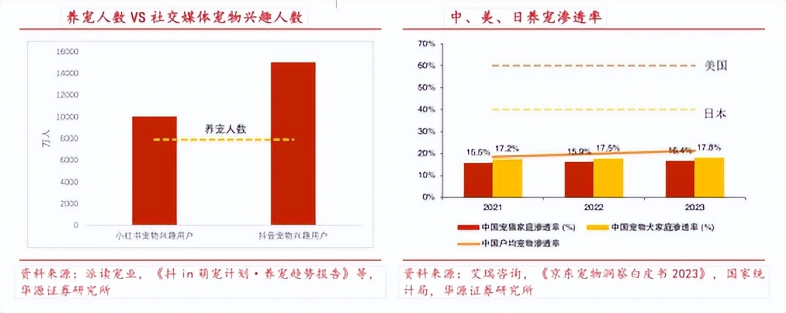 宠物社交平台_宠物品牌在社交媒体的增长路径_国货宠物品牌社交媒体营销策略
