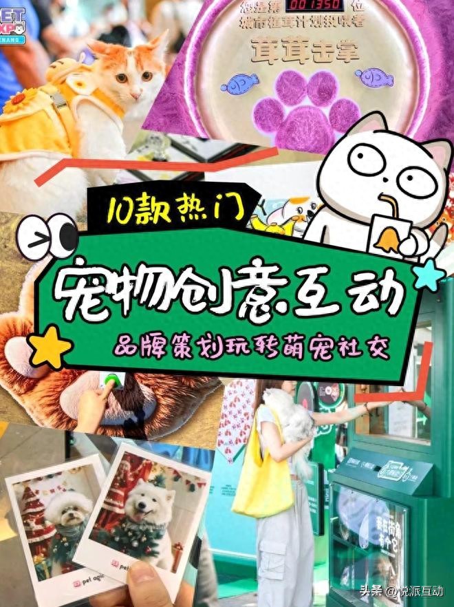 萌宠社交新玩法！这些创意装置让宠物圈秒变网红！