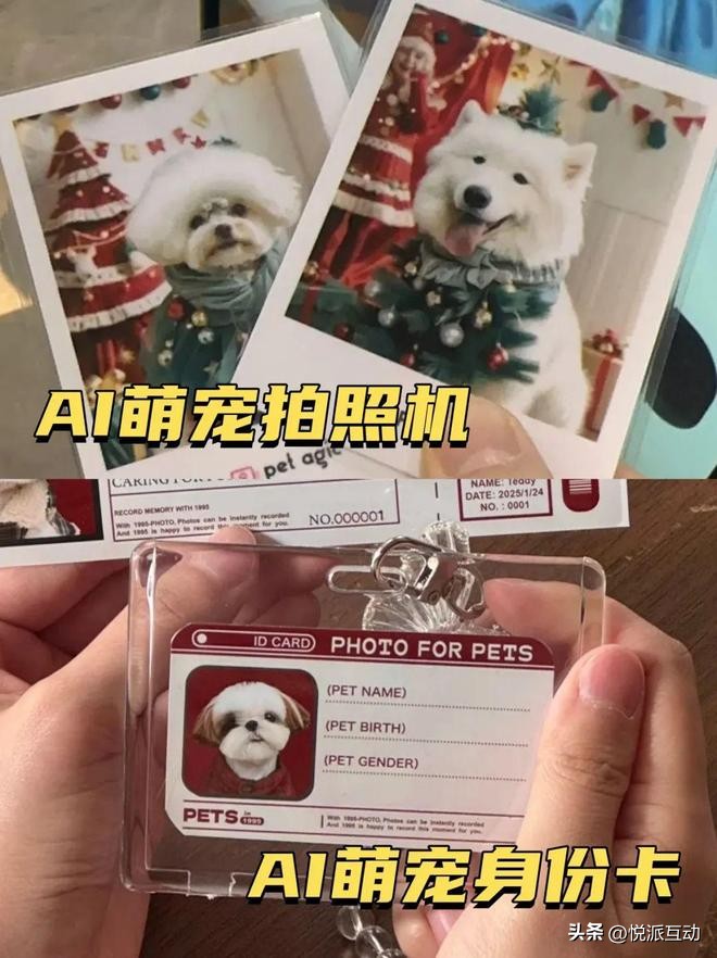 创意互动装置_宠物社交活动策划_宠物社交平台