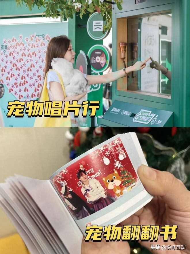 宠物社交活动策划_宠物社交平台_创意互动装置
