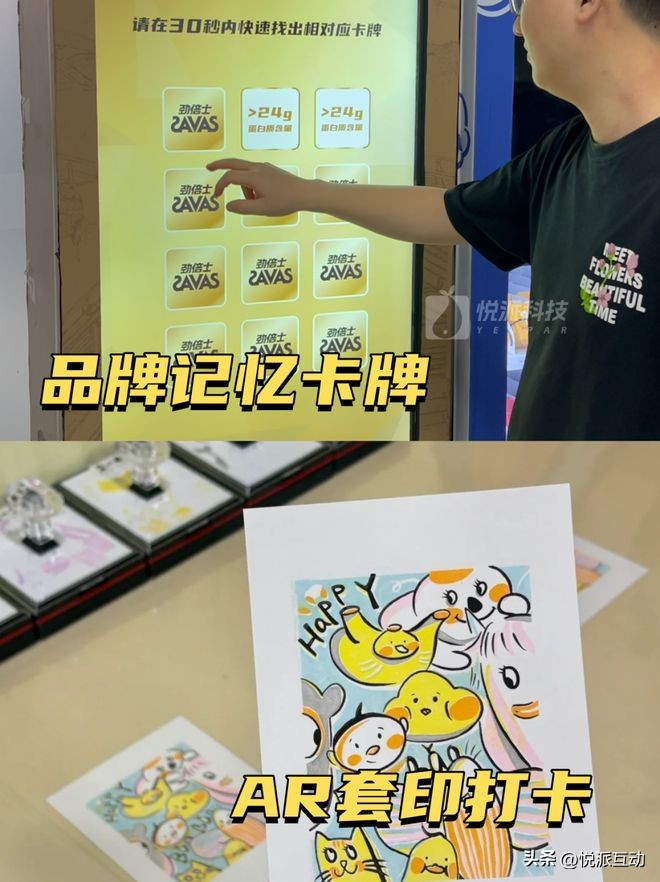 宠物社交活动策划_创意互动装置_宠物社交平台