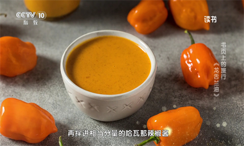 千寻TVapp官方下载软件简介