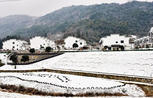 蕲春美丽乡村建设_全域化推进美丽乡村_最近蕲春头条新闻