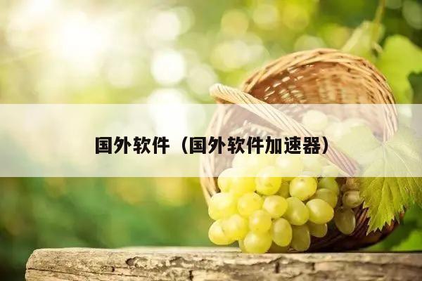 国外软件（国外软件加速器）