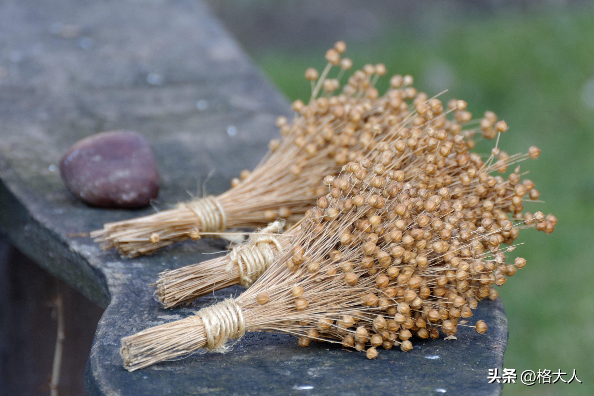 高情商聊天_智慧树现代社交礼仪_微信礼仪