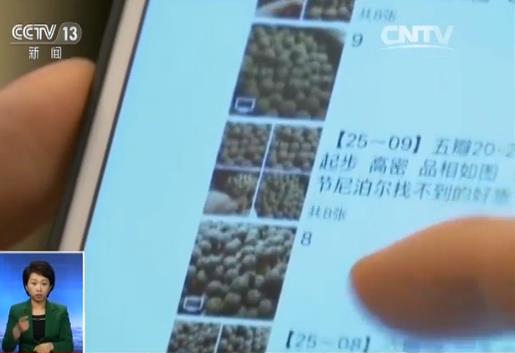 社交购物平台_微信购物返款骗局揭秘_朋友圈微商文玩骗局