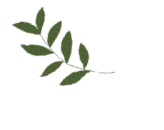 职场心理健康问题_职场压力管理方法_中国职场心理健康调研